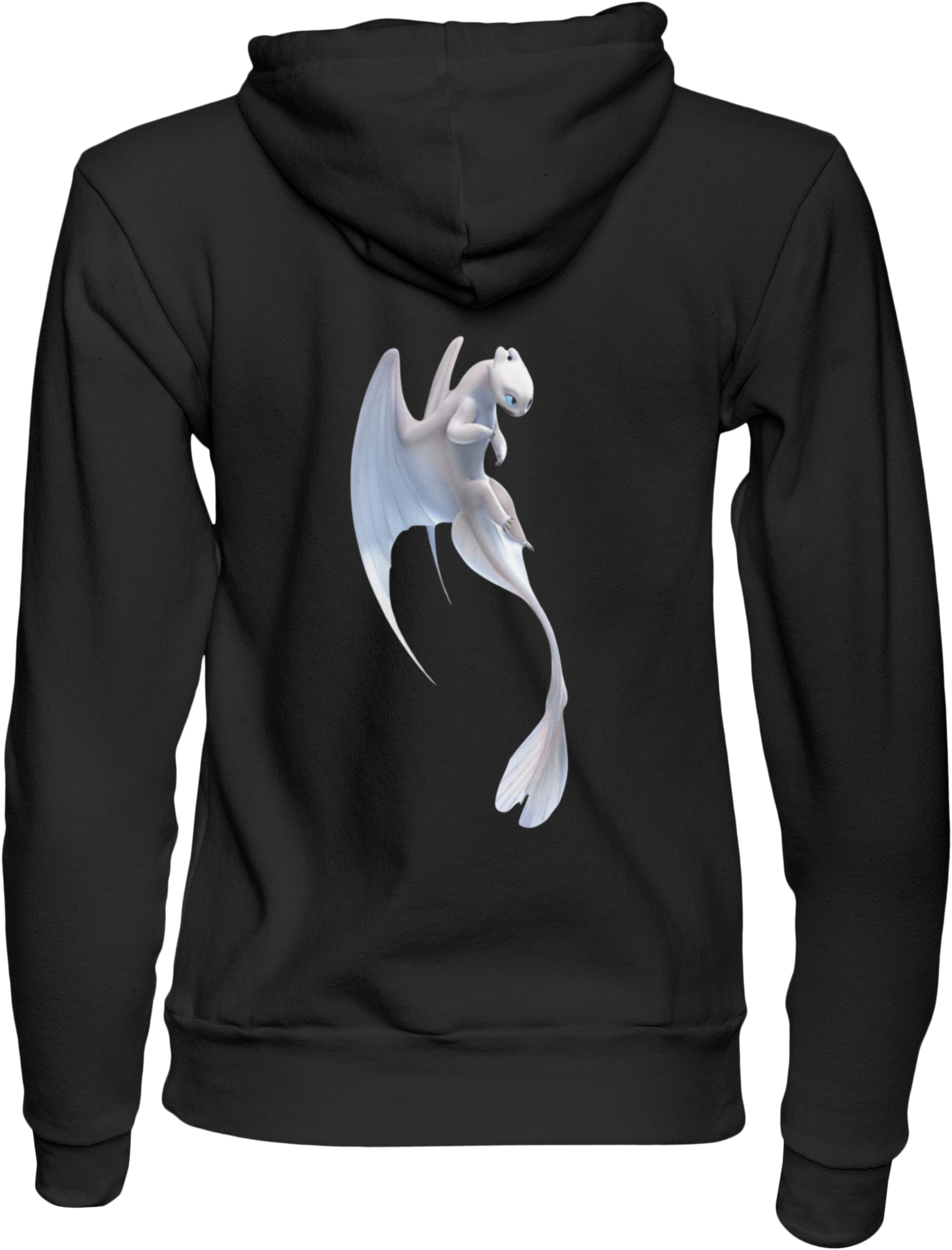 Night and Light Fury: HTTYD