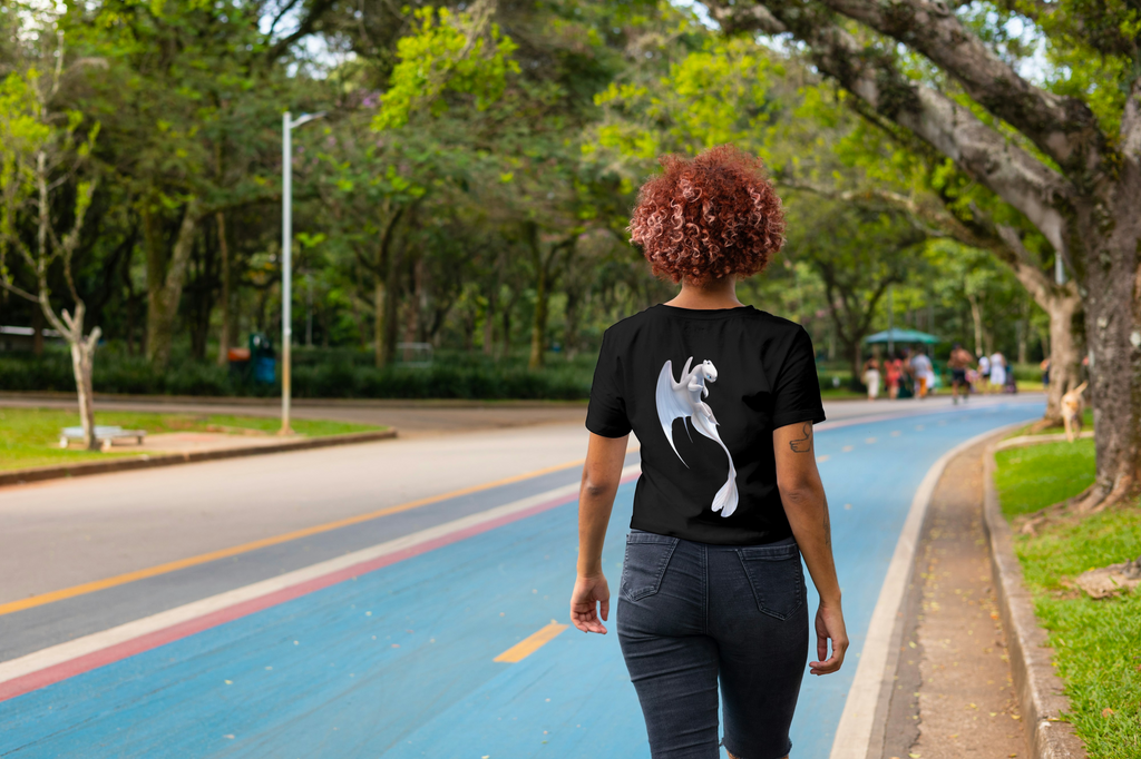 Night and Light Fury: HTTYD