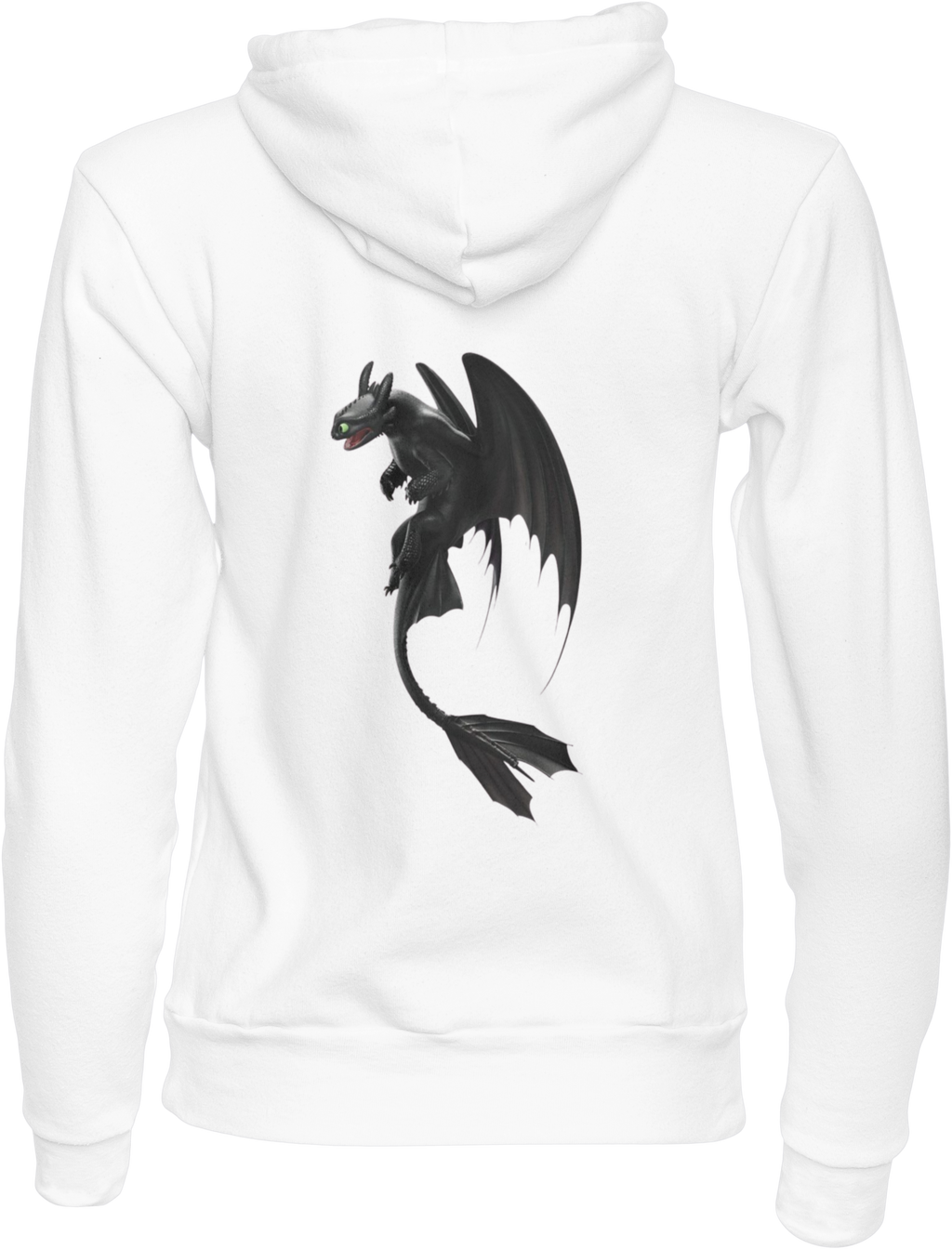 Night and Light Fury: HTTYD